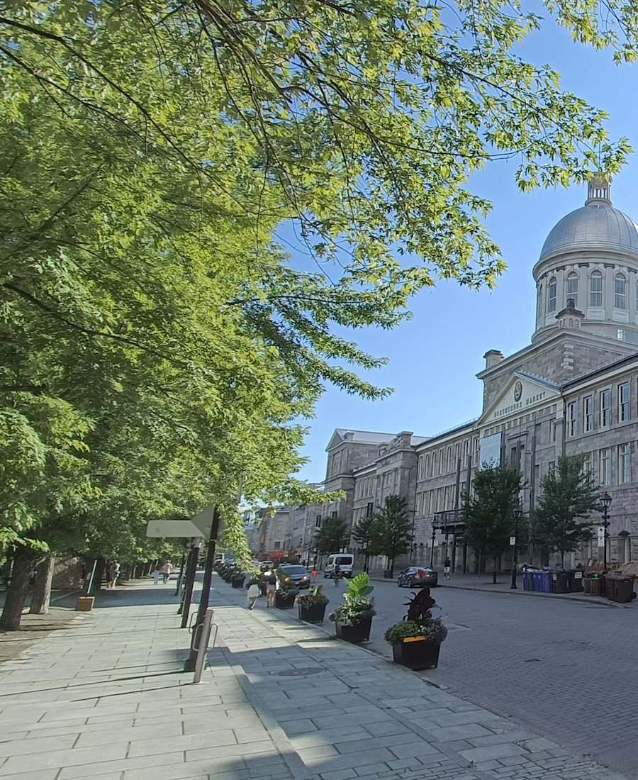 Cyclist on rue de la Commune in Old Montreal